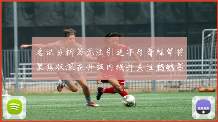 名记分析若无法引进字母哥绿军将聚焦双探花升级内线并关注鹈鹕墨菲