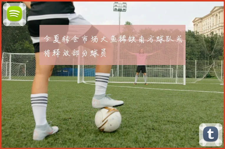 今夏转会市场大鱼稀缺南方球队或将释放部分球员